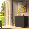 APRILSOUL Large and Tall Litter Box Enclosure, Modern Wooden Litter Box Furniture for XL Litterbox with Hidden Storage as Sideboard Cabinet - 2 of 4