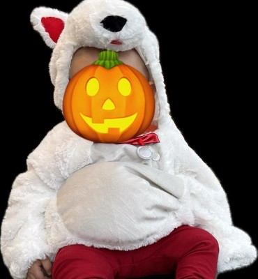 Guest review image 1 of 1, zoom in