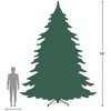 Northlight Pendleton Spruce Slim Artificial Christmas Tree - 16' - Unlit - image 4 of 4