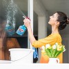 Windex Glass Cleaner Original Blue Refill Bottle - 3 of 4
