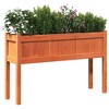 vidaXL Garden Planters 2 pcs with Legs Wax Brown Solid Wood Pine - 4 of 4