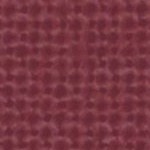 florida state seminoles athletic wordmark