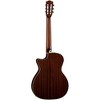 Luna Art Vintage Nylon Acoustic-Electric Guitar Brown Burst - 4 of 4
