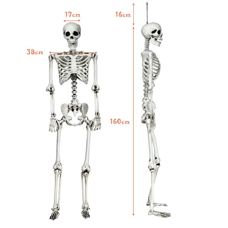 Costway 5.4ft Halloween Skeleton Life Size Realistic Full Body Hanging w/ Movable Joints, 2 of 13