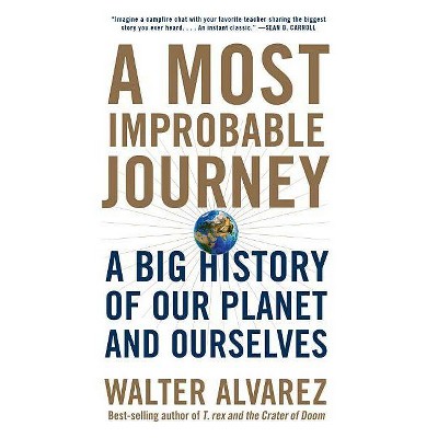 A Most Improbable Journey - by  Walter Alvarez (Paperback)