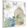Amanti Art Rainbow Seeds Floral Birdcage III v2 by Lisa Audit Framed Canvas Wall Art - 3 of 4