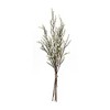 Melrose Leptospermum Flower Bundle (Set of 6) - 4 of 4