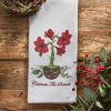 Park Designs Celebrate The Season Decorative Dishtowel Set Of 2 - 2 of 4