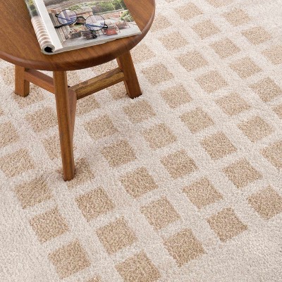 Hauteloom Baback Beige Washable Area Rug