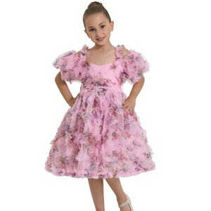 2Bunnies 3D Floral Embroidered Ruffled Tulle Girl Dress - 1 of 4
