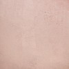 Parkland Collection,Bashira Transitional Throw Pillow - 4 of 4