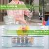 LunaLulinlk Ice Chilled Condiment Caddy Serving Tray Container Bar Garnish Holder Salad Platter Server Food Storage - 3 of 4