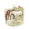 Women's Lost Gods Retro Horses Portrait Scoop Neck - 2 of 4