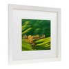 Trademark Fine Art - Krzysztof Browko Spring On Fields... Matted Framed Art - 3 of 4