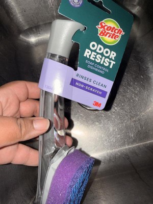 Guest review image 1 of 4, zoom in