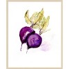 Amanti Art Veggie Sketch Beets by Marcy Chapman Wood Framed Wall Art Print - 4 of 4