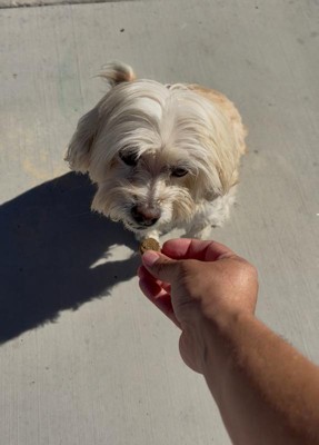 Guest review image 1 of 2, zoom in