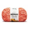 Bernat Blanket Mist-Ical Yarn 24 Pack-Cactus Flower - 2 of 4