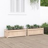 vidaXL Garden Planter Set of 2 Natural wood Solid pine wood - 2 of 4
