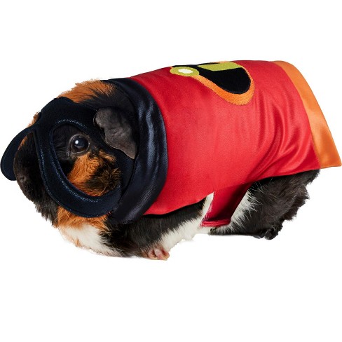  Rubie's DC League of Super Pets Lulu Small Pet Costume, As  Shown, Extra-Small : Pet Supplies