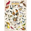 MasterPieces Inc Audubon Songbird 1000 Piece Jigsaw Puzzle - 3 of 4