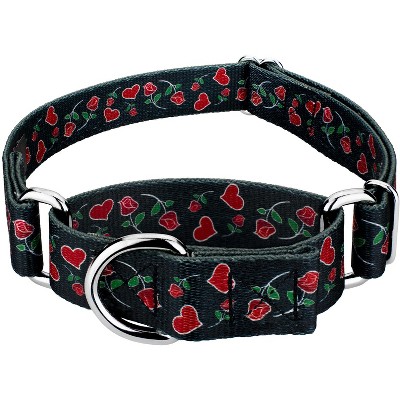 Country Brook Petz Martingale Dog Collar - Affection Collection