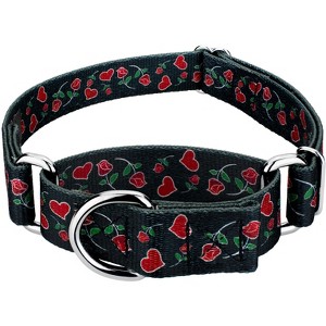 Country Brook Petz Martingale Dog Collar - Affection Collection - 1 of 4