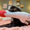 Zombie Arm Dog Toy Funny Stuffed Chew Plush for Puppies - Crazy Dog Dog Toy For Halloween Season - 4 of 4