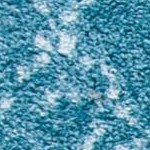 turquoise/blue