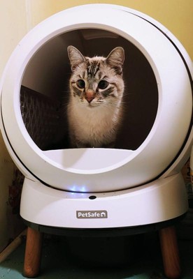 Guest review image 1 of 2, zoom in