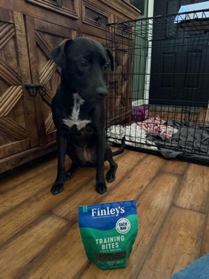 Guest review image 2 of 3, zoom in