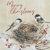 Park Designs Winter Garden Decorative Dishtowel Set of 2 - 3 of 3