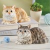 Collections Etc Hand-Painted Sitting Pretty Realistic Cat - 4 of 4