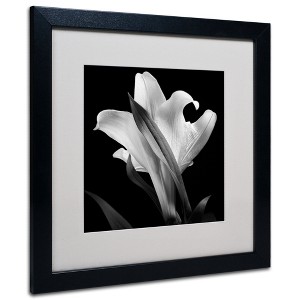 Trademark Fine Art -Michael Harrison 'Lily' Matted Framed Art - 1 of 4