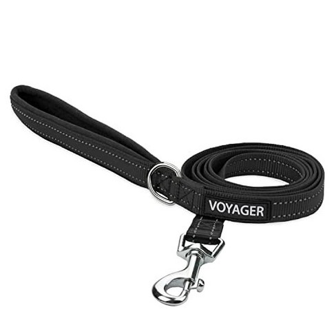 Reflective Rope Dog Leash - Gray - Boots & Barkley™ : Target