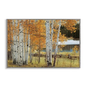 Stupell Industries Autumnal Birch Beauty Framed Giclee Art - 1 of 4