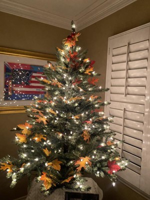 Guest review image 1 of 2, zoom in