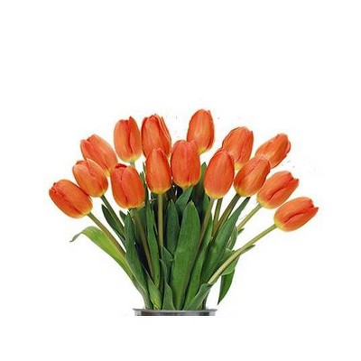 Fresh Cut Flowers Flowers Plants Target