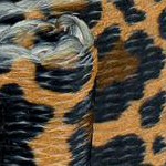 leopard print