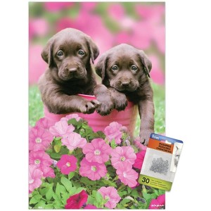 Trends International Keith Kimberlin - Labs Unframed Wall Poster Prints - 1 of 4