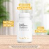 SuperSmart Broccoli Sulforaphane Glucosinolate 600mg per Day - 10% SGS with Myrosinase | Non-GMO & Gluten Free - 60 Vegetarian Capsules - 3 of 4
