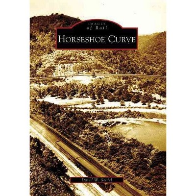 Horseshoe Curve - by David W Seidel (Paperback)