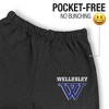 Wellesley College Primary Logo Jogger Sweatpants - 3 of 4
