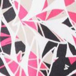 pink burst abstract leaf