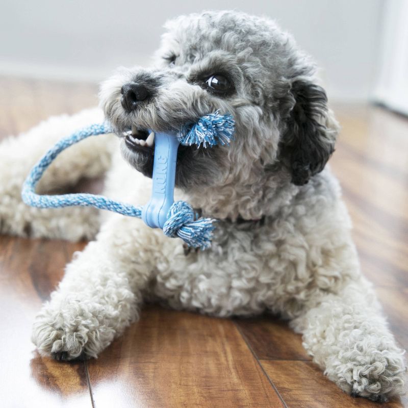 KONG Goodie Bone with Rope Puppy Toy - Blue - XS, 3 of 5
