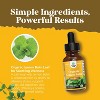Organic Lemon Balm Liquid, Mood Support and Digestive Health, Nature's Craft, 30mL - 4 of 4