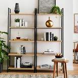 Functional Bookcase with Storage Shelves Collection