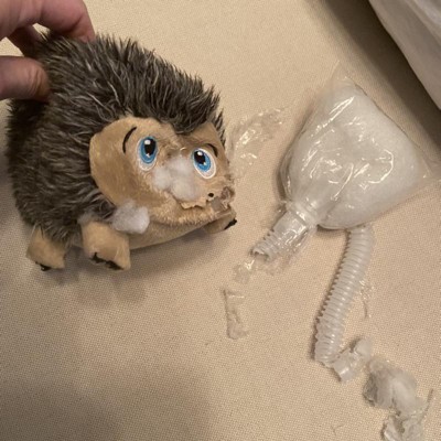 Hedgehog Hide & Hunt Puzzle Dog Toy