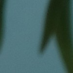 dark green/copper/amber