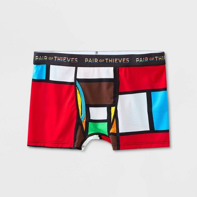 Pair of Thieves Adult Pride Colorblock Super Fit Trunk